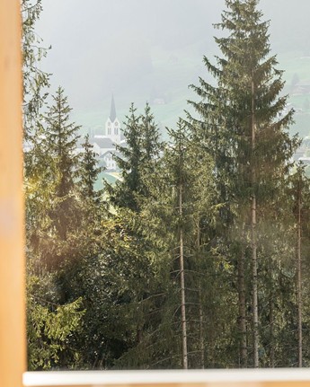 Genießen Sie den Ausblick in die Natur Wald durch ein Fenster betrachtet
