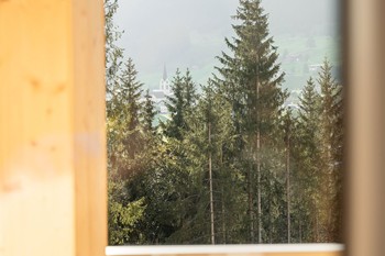 Wald durch ein Fenster betrachtet